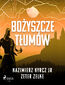 Bożyszcze tłumów