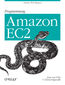 Programming Amazon EC2. Survive your Success