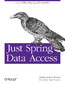 Just Spring Data Access