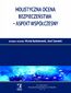 Holistyczna ocena bezpieczeństwa - aspekt współczesny. Tom 31