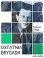 Ostatnia brygada
