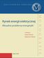 Rynek energii elektrycznej. Aktualne problemy energetyki