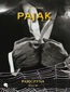 Pająk