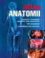 Atlas anatomii