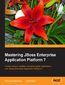 Mastering JBoss Enterprise Application Platform 7. Core details of the Enteprise server supported by clear directions and advanced tips