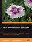 Oracle Modernization Solutions. A practical book and eBook guide to planning and implementing SOA Integration and Re-architecting to an Oracle platform