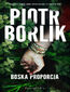 Boska proporcja