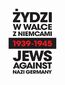 Żydzi w walce z Niemcami 1939-1945 | Jews Against Nazi Germany 1939-1945