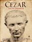 Cezar. Życie giganta