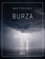 Nastrojowo - Burza