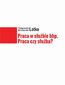 Praca w służbie bhp. Praca czy służba?