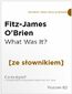 What Was It z podręcznym słownikiem angielsko-polskim. Poziom B2