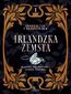 Inspektor i złodziejka. Irlandzka zemsta Tom I, Część I