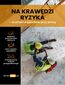 Na krawędzi ryzyka - studium wypadków przy pracy Na krawędzi ryzyka - studium wypadków przy pracy