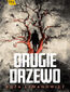 Drugie drzewo