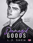 Damaged Goods. All Saints High. Tom 4