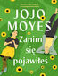 Zanim się pojawiłeś Zanim się pojawiłeś
