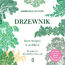 Drzewnik. Leśna terapia w praktyce