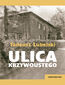 Ulica Krzywoustego