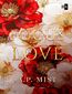 Focus Love