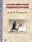 Sokół Pustyni. Powieść