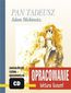 Pan Tadeusz - opracowanie