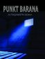 Punkt Barana