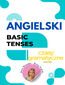 BASIC TENSES