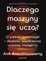 Dlaczego maszyny się uczą? O pięknie matematyki i działaniu współczesnej sztucznej inteligencji