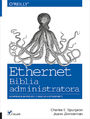 Ethernet. Biblia administratora