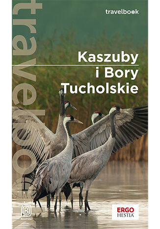 Kaszuby i Bory Tucholskie. Travelbook. Wydanie 3 Malwina i Artur Flaczyńscy - okladka książki