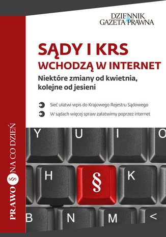 Sądy i KRS wchodzą w internet Piotr Pieńkosz - okladka książki