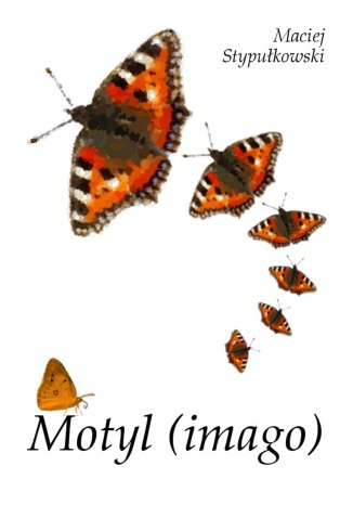 Motyl (imago) Maciej Stypułkowski - okladka książki