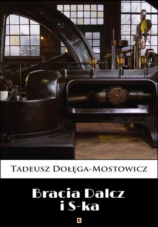 Bracia Dalcz i S-ka Tadeusz Dołęga-Mostowicz - okladka książki
