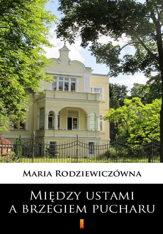 Między ustami a brzegiem pucharu Maria Rodziewiczówna - okladka książki