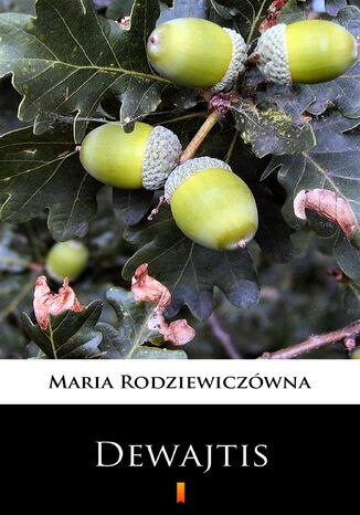 Dewajtis Maria Rodziewiczówna - okladka książki