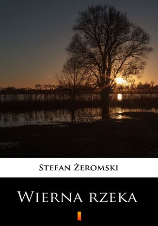 Wierna rzeka Stefan Żeromski - okladka książki