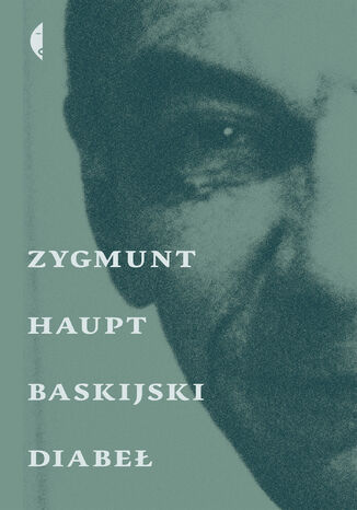 Baskijski diabeł Zygmunt Haupt - okladka książki