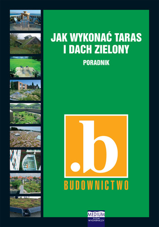 Jak wykonać taras i dach zielony. Poradnik Maciej Roiel - okladka książki