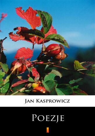 Poezje. Wybór Jan Kasprowicz - okladka książki