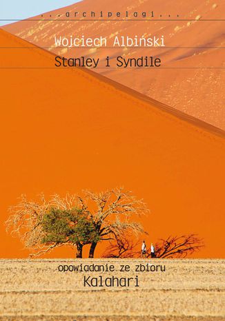 Stanley i Syndile Wojciech Albiński - okladka książki