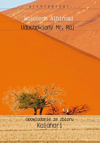 Uduchowiony Mr. Raj Wojciech Albiński - okladka książki