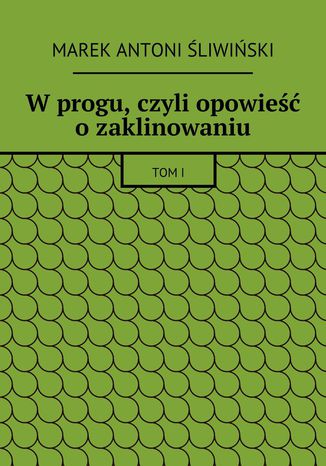 W progu, czyli opowieść o zaklinowaniu Marek Śliwiński - okladka książki