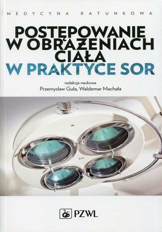 Postępowanie w obrażeniach ciała w praktyce SOR Leszek Brongel, Andrzej Basiński, Jarosław Berent - okladka książki