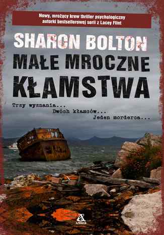 Małe mroczne kłamstwa Sharon Bolton - okladka książki