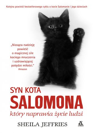 Syn kota Salomona, który naprawia życie ludzi Sheila Jeffries - okladka książki