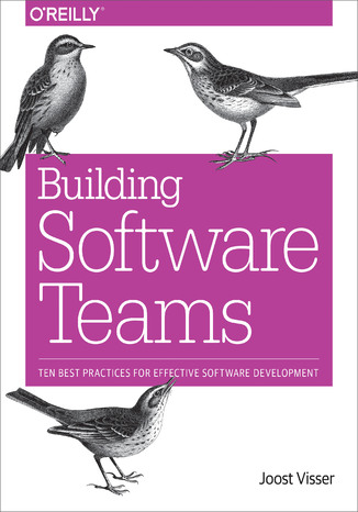 Building Software Teams. Ten Best Practices for Effective Software Development Joost Visser, Sylvan Rigal, Gijs Wijnholds - okladka książki