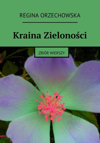 Kraina Zieloności Regina Orzechowska - okladka książki