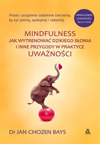 Mindfulness: Jak wytrenować dzikiego słonia Jan Chozen Bays - okladka książki