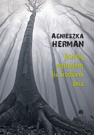 Jesienią najtrudniej iść środkiem dnia Agnieszka Hermann - okladka książki